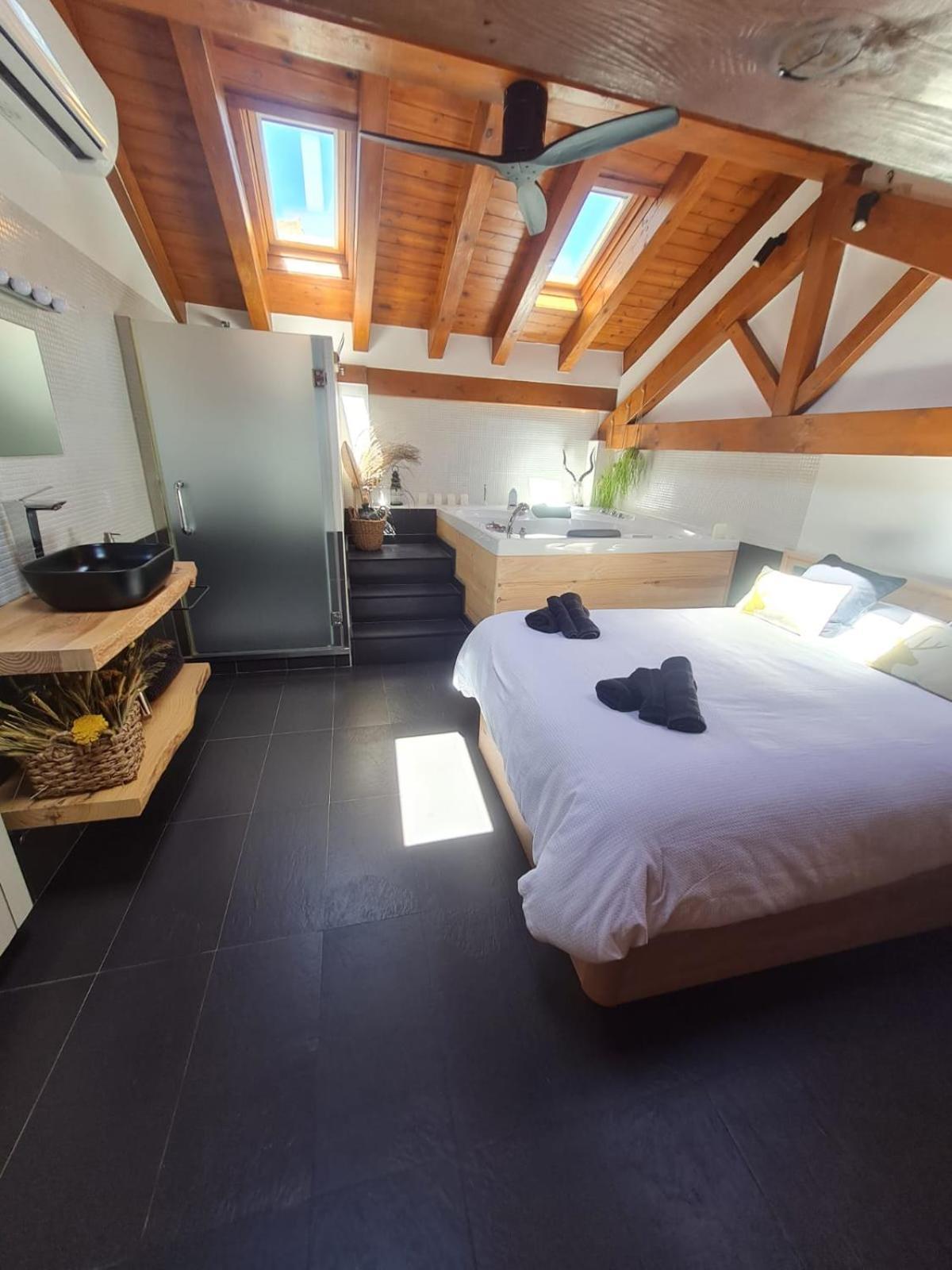 Apartment Lo Attic